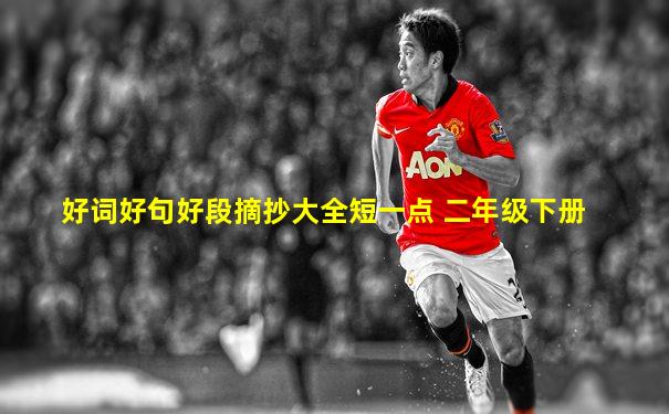 好词好句好段摘抄大全短一点 二年级下册